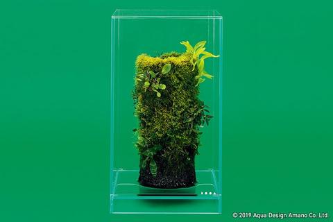 DOOA Neo Glass AIR W15×D15×H25 (cm)