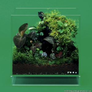 DOOA Neo Glass AIR W20×D20×H20 (cm)