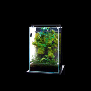 DOOA System PALUDA 30