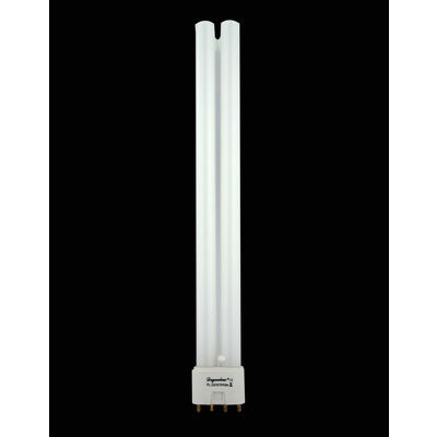 Spare Degenbao 24W PL Bulb