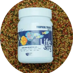 Life Aayu Food Tropical Treats – Large | 70gm