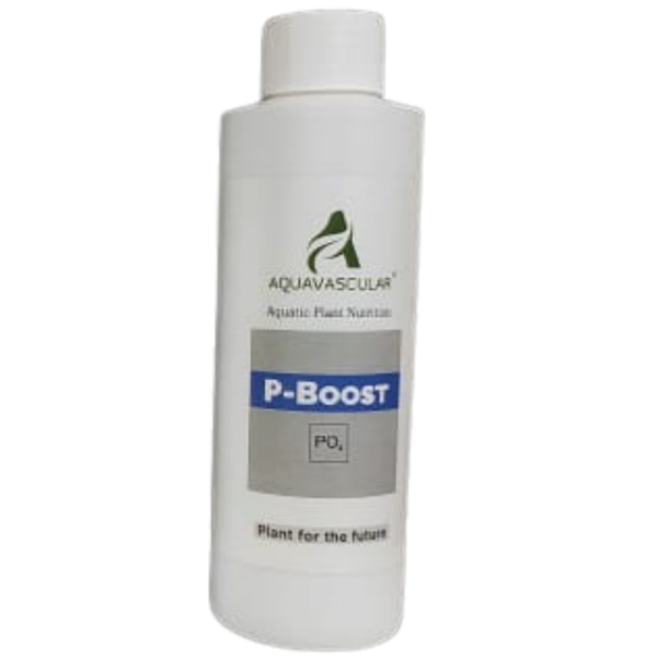 AquaVascular Phosphorus P Boost 250ml