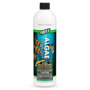 Fritz Algae Clean Out