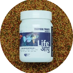 Life Aayu Food Tropical Treats – Medium | 70gm