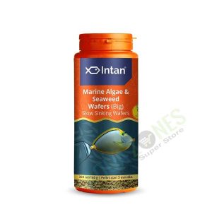 Intan Marine Algae & Seaweed Wafers Big