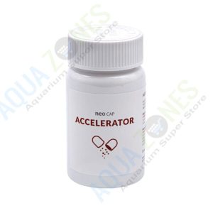 Aquario Neo Cap Accelerator